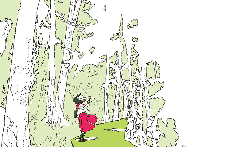 Kimijima Ritsu 君島利律 Designer&Illustrator